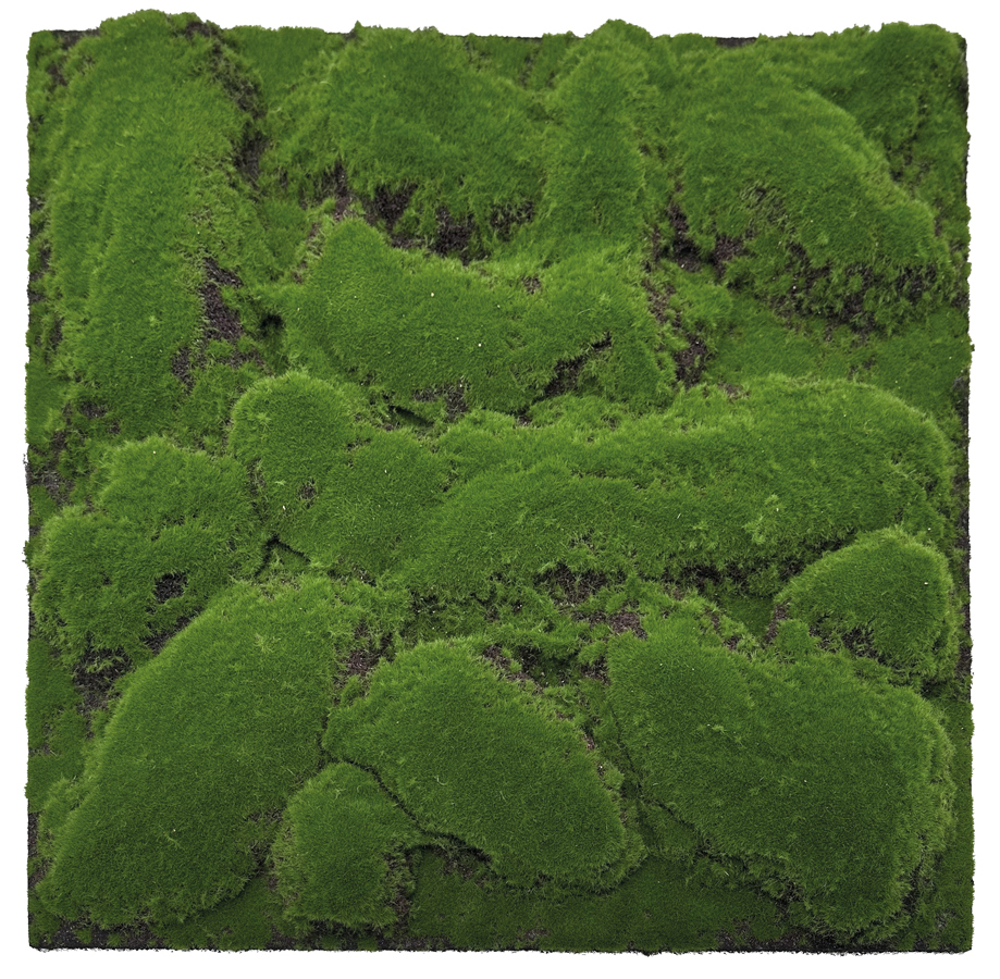 Wandpaneel Jangal Modular Wall 11109 forest green big bulk design moos 52 x 52 cm