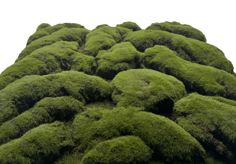 Wandpaneel Jangal Modular Wall 11109 forest green big bulk design moos 52 x 52 cm
