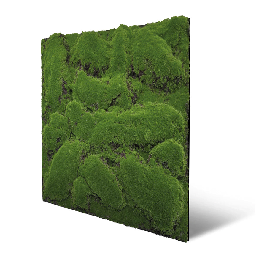 Wandpaneel Jangal Modular Wall 11109 forest green big bulk design moos 52 x 52 cm